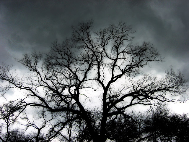 S - Before the storm.jpg