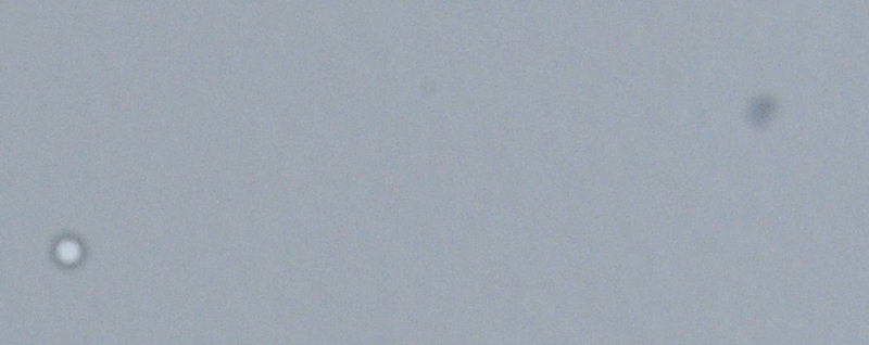 Oil_on_sensor.jpg