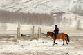 Man on Horse