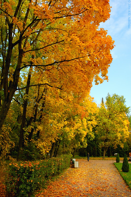 Peterhof Fall Colors