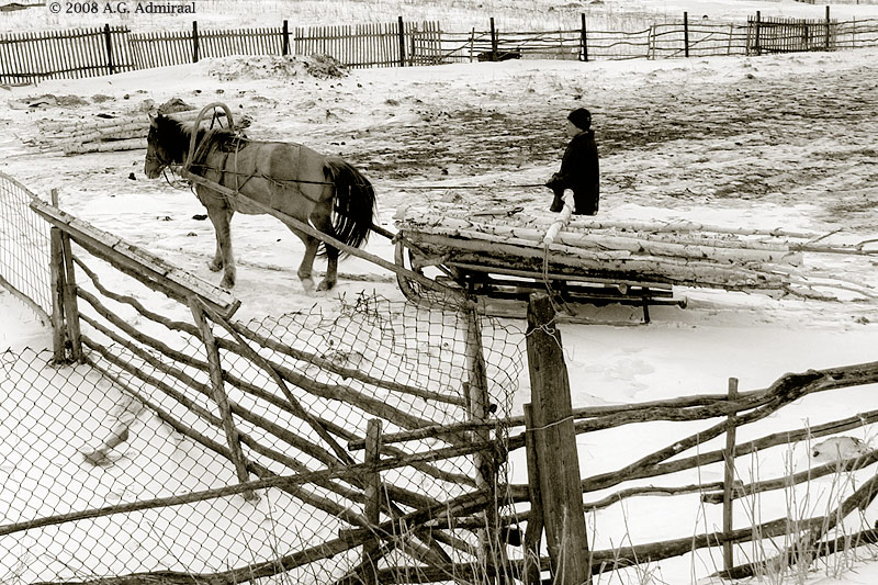 Log Transport