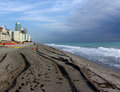 Tracks In Sand