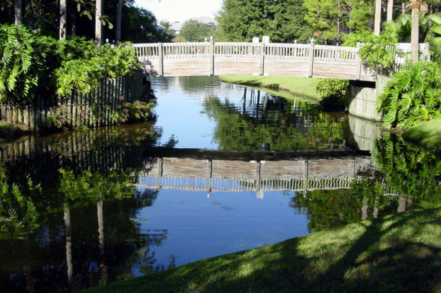 Bridge Reflection