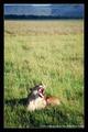 A Slow Awakening (DSWF)