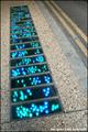 Step Lightly 2