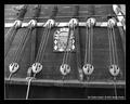 The Golden Hinde 1 (Black & White)