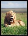 In His Prime II (DSWF)