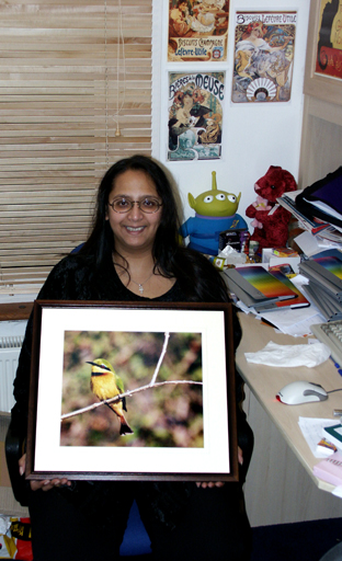Framed Little Bee Eater photo (& Kavey)