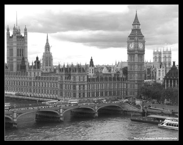 Buses at Westminster