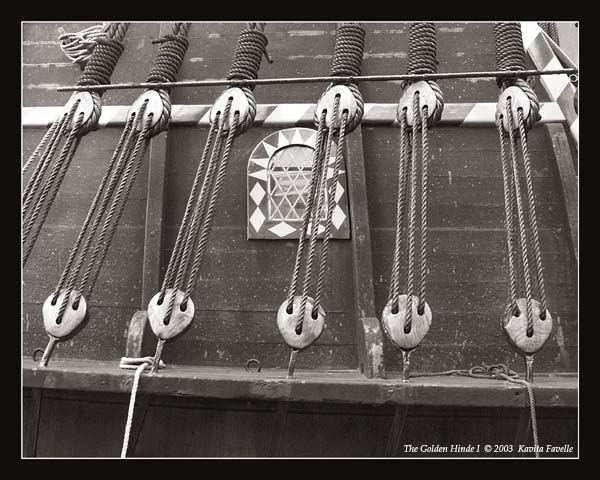 The Golden Hinde 1 (Warm Grey Duotone)