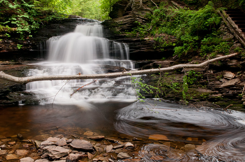 Rickett's Glen 2012
