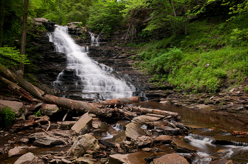 Rickett's Glen 2012