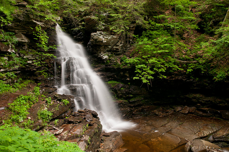 Rickett's Glen 2012