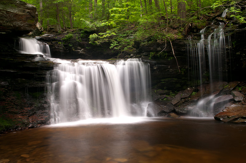 Rickett's Glen 2012