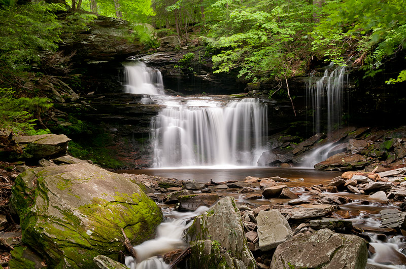 Rickett's Glen 2012