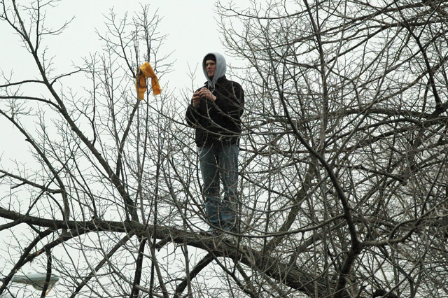 dudeintree.jpg