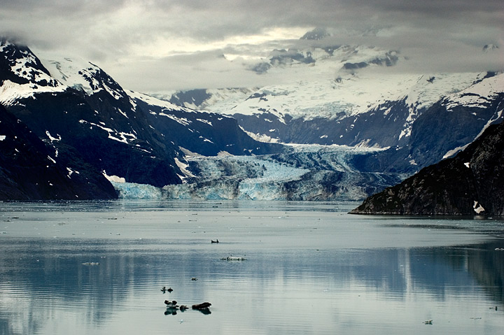 Glacier Bay