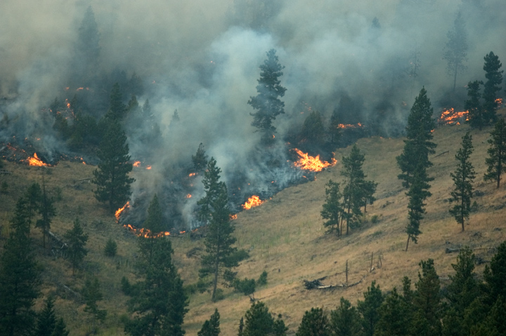 Montana Wildfires