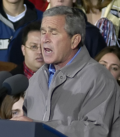 bush.jpg