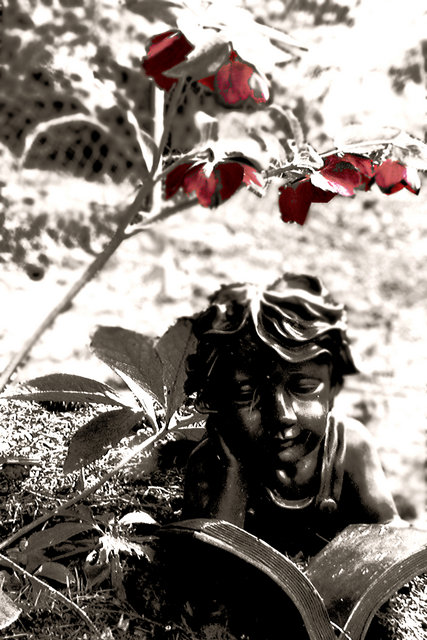 The Garden Fairy