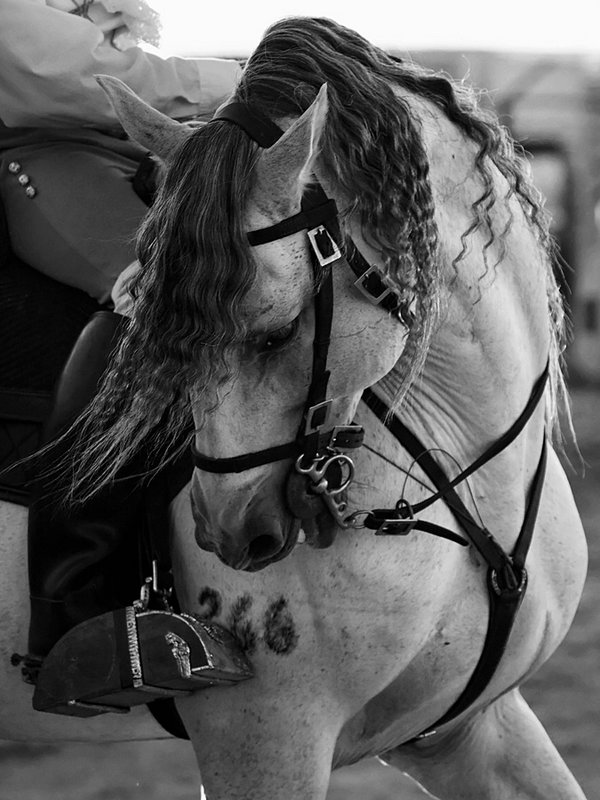 Intensity