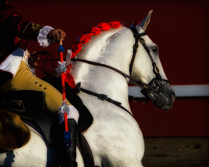Art of the Bloodless Bullfight