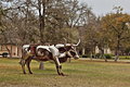IMG_5245_HDR