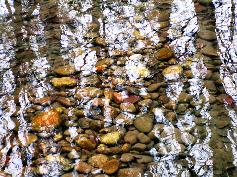stones and shadows