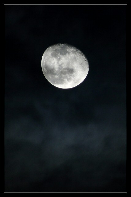 Moon Mist