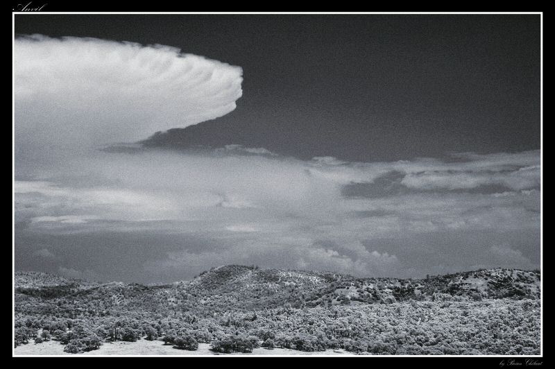 Anvil