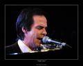 Nick Cave