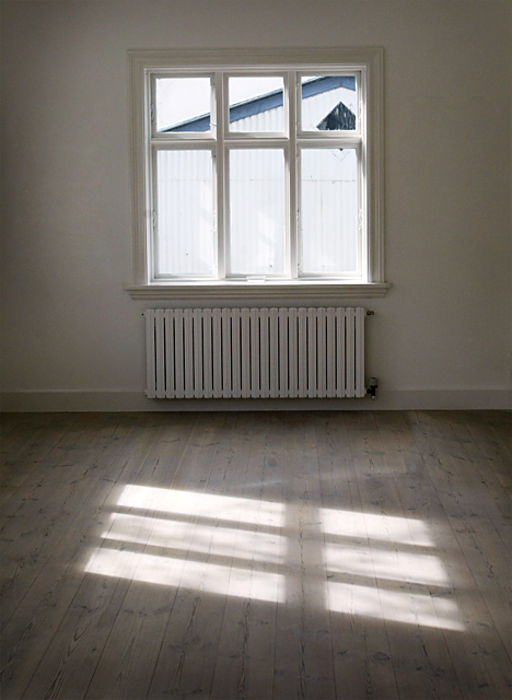The Window