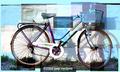Blue Bike