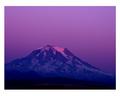 Mt. Rainier Sunset