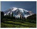 Mount Rainier