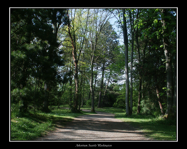 Arboretum, Seattle