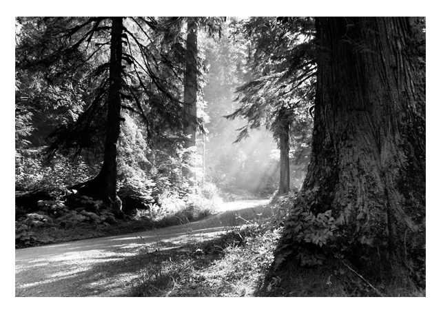 Dusty Road