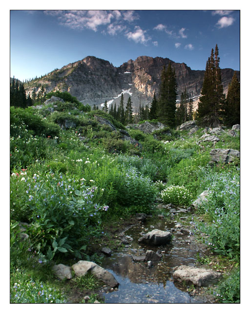 Albion Basin, Alta, Utah