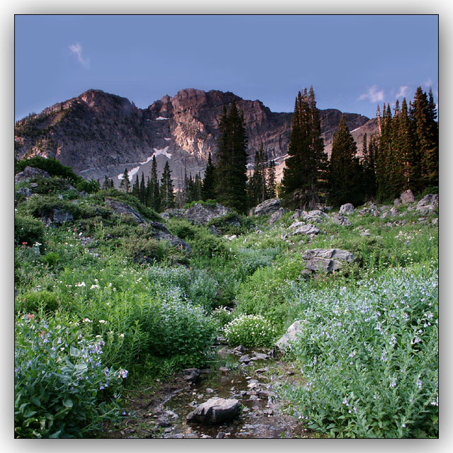Albion Basin 3