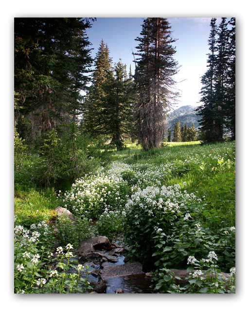 Albion Basin 4