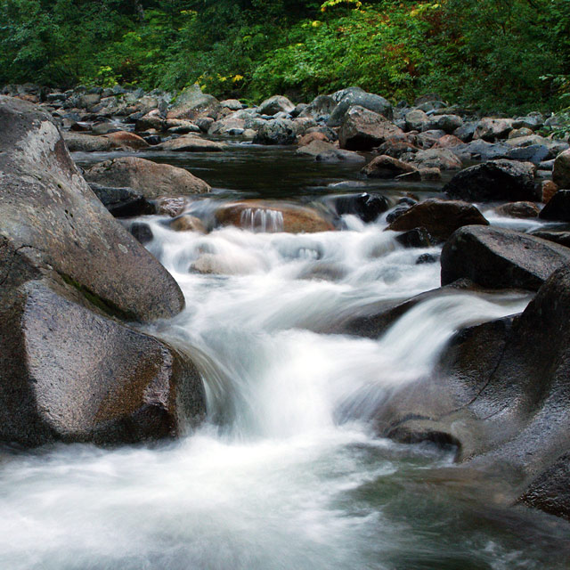 Denny Creek