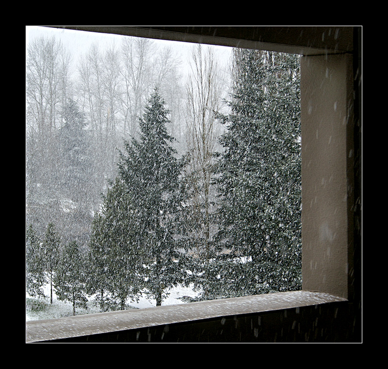 Seattle Snow