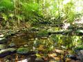 Mossman gorge 2