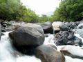 Mossman gorge