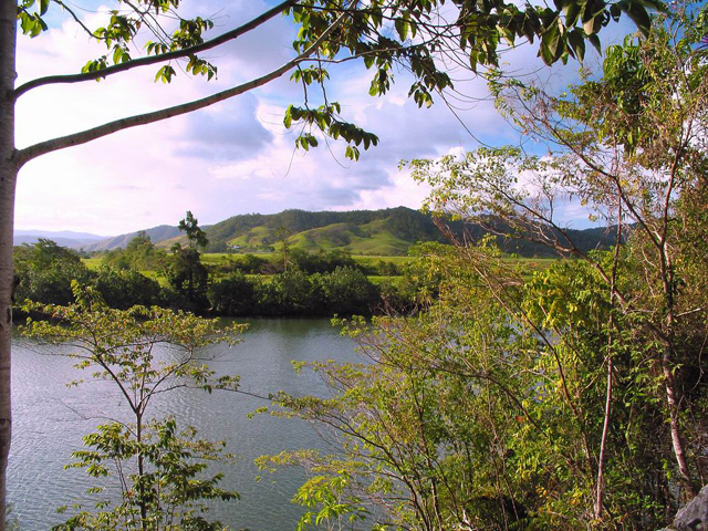 Daintree river