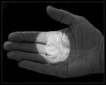 transit of Venus, the palm version