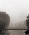 Sea Mist