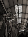 Covered Market Creatures