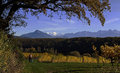  Fall scene in the wineyards