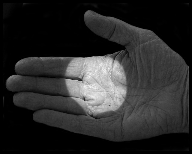 transit of Venus, the palm version